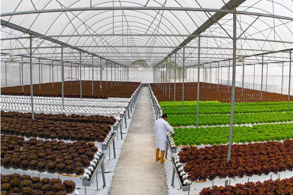 veggie-nature-a-farm-to-table-experience-at-berjaya-hills-1